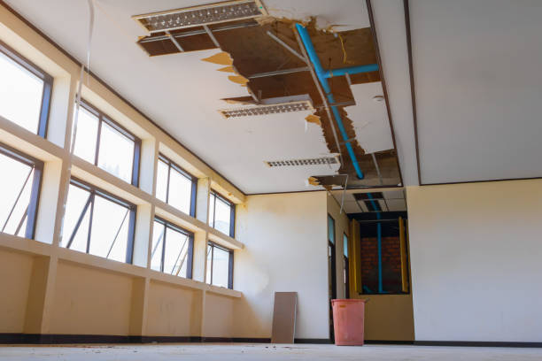 Best Water damage restoration near me  in San Carlos, TX
