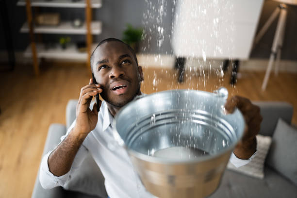 Best Ceiling water damage repair  in San Carlos, TX