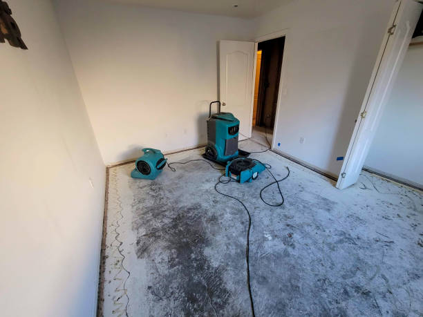 Best Water damage restoration near me  in San Carlos, TX
