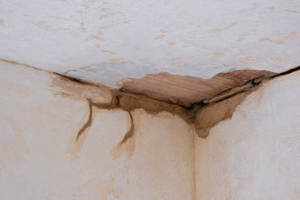 24/7 water damage repair in San Carlos, TX