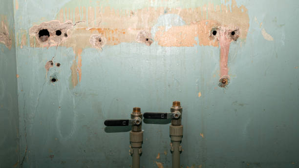 Best Flood restoration services  in San Carlos, TX