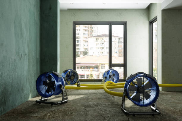 Water damage restoration insurance claims in San Carlos, TX